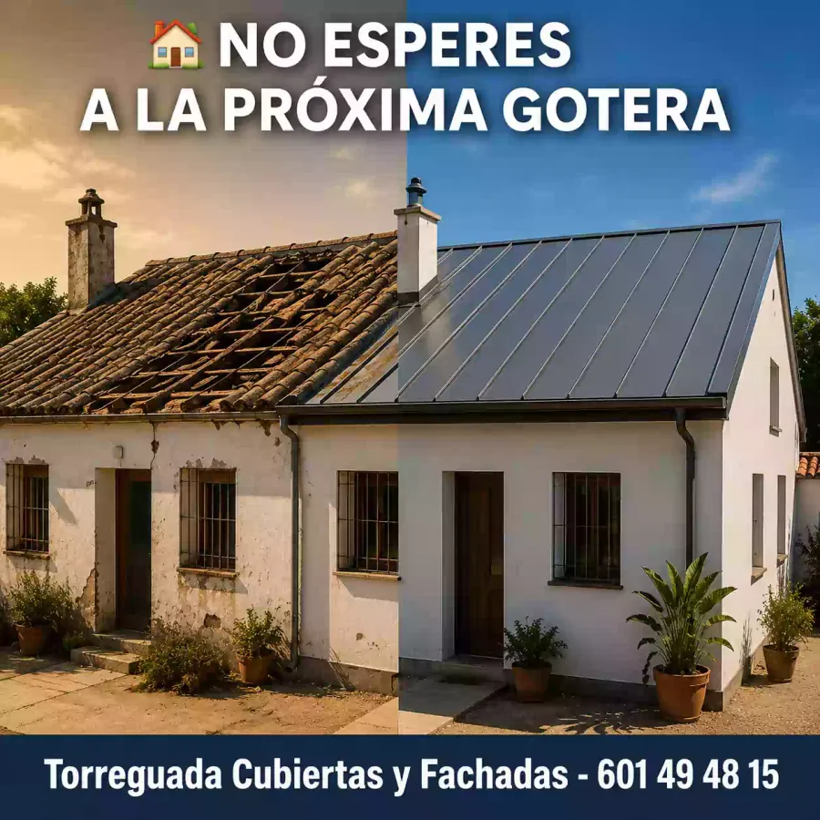 Cubiertas y fachadas torrreguada Sevilla Sevilla